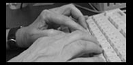Photo of hands on a computer
