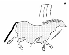 Tactile translation of the Chinese Horse from the Lascaux Cave Paintings in France